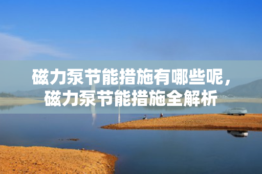 磁力泵节能措施有哪些呢，磁力泵节能措施全解析