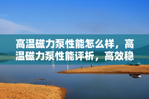 高温磁力泵性能怎么样，高温磁力泵性能评析，高效稳定，满足高温工况需求