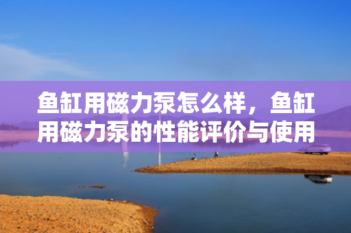 鱼缸用磁力泵怎么样，鱼缸用磁力泵的性能评价与使用体验
