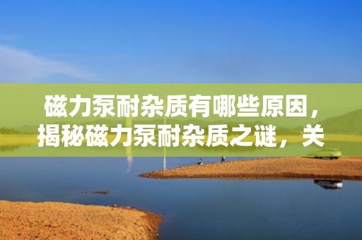 磁力泵耐杂质有哪些原因，揭秘磁力泵耐杂质之谜，关键因素解析
