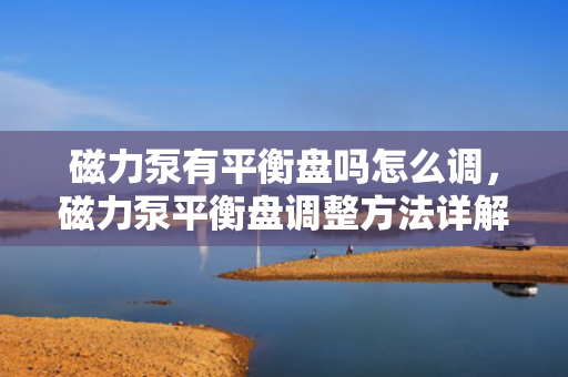 磁力泵有平衡盘吗怎么调，磁力泵平衡盘调整方法详解