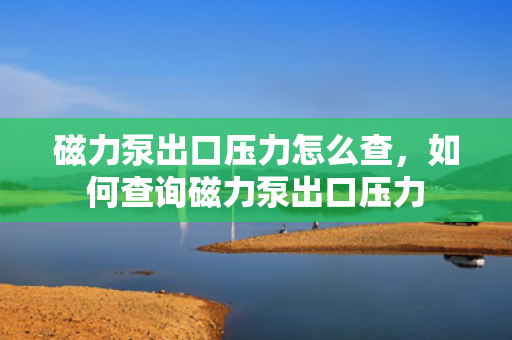 磁力泵出口压力怎么查，如何查询磁力泵出口压力