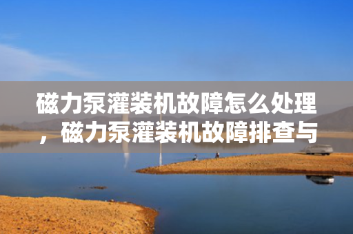 磁力泵灌装机故障怎么处理，磁力泵灌装机故障排查与解决方法