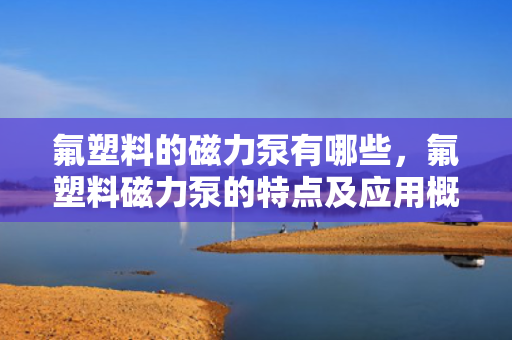 氟塑料的磁力泵有哪些，氟塑料磁力泵的特点及应用概述