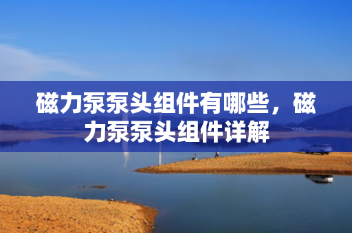 磁力泵泵头组件有哪些，磁力泵泵头组件详解