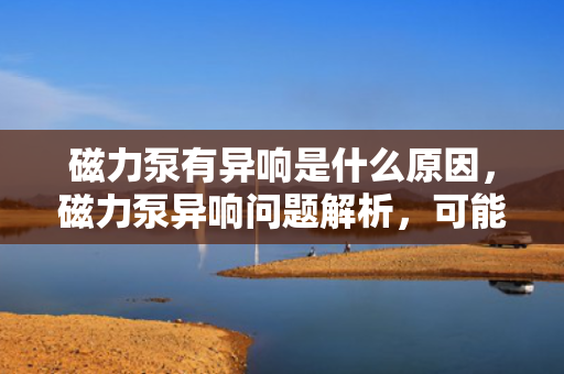 磁力泵有异响是什么原因，磁力泵异响问题解析，可能的原因与解决方案