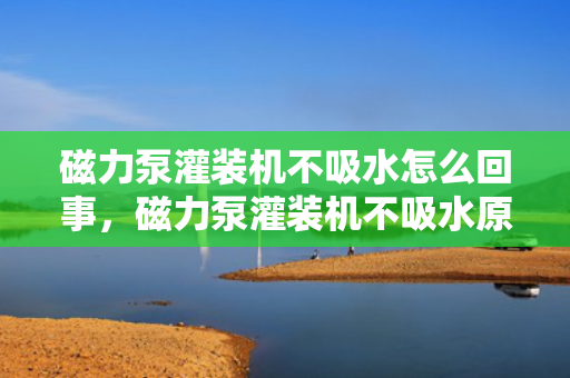 磁力泵灌装机不吸水怎么回事，磁力泵灌装机不吸水原因解析