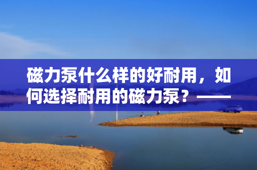 磁力泵什么样的好耐用，如何选择耐用的磁力泵？——优质磁力泵的特点与选购指南