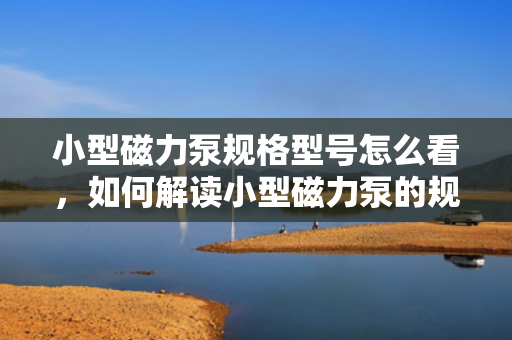 小型磁力泵规格型号怎么看，如何解读小型磁力泵的规格型号