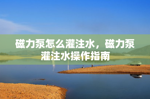 磁力泵怎么灌注水，磁力泵灌注水操作指南