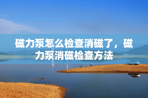磁力泵怎么检查消磁了，磁力泵消磁检查方法