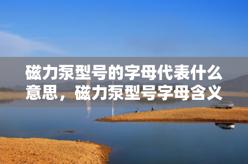 磁力泵型号的字母代表什么意思，磁力泵型号字母含义解析