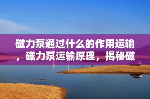磁力泵通过什么的作用运输，磁力泵运输原理，揭秘磁力如何助力流体传输