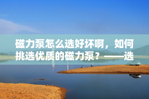 磁力泵怎么选好坏啊，如何挑选优质的磁力泵？——选购指南
