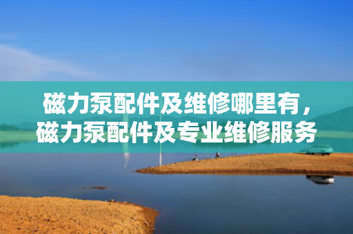 磁力泵配件及维修哪里有，磁力泵配件及专业维修服务一站式解决方案