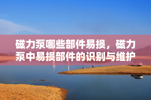 磁力泵哪些部件易损，磁力泵中易损部件的识别与维护