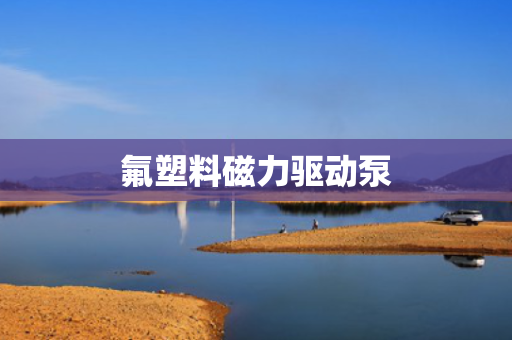 氟塑料磁力驱动泵