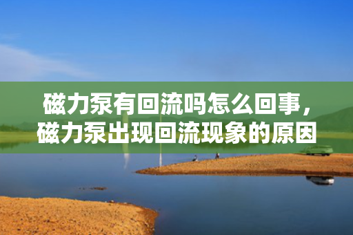 磁力泵有回流吗怎么回事，磁力泵出现回流现象的原因及解决方法