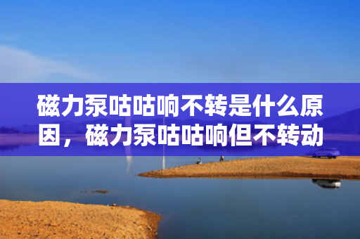 磁力泵咕咕响不转是什么原因，磁力泵咕咕响但不转动的故障解析