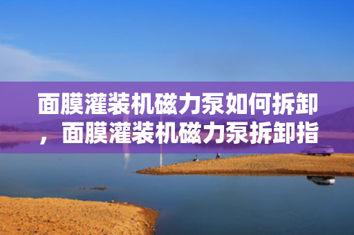 面膜灌装机磁力泵如何拆卸，面膜灌装机磁力泵拆卸指南