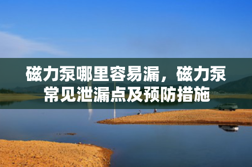 磁力泵哪里容易漏，磁力泵常见泄漏点及预防措施