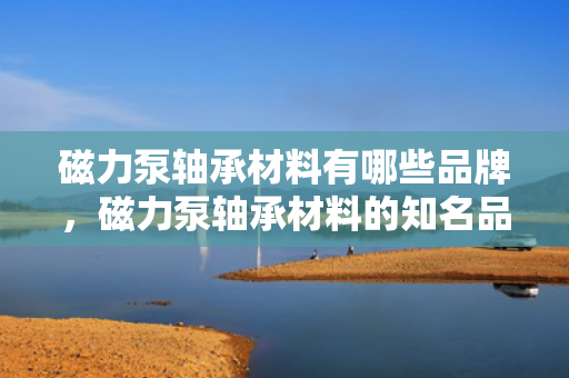 磁力泵轴承材料有哪些品牌，磁力泵轴承材料的知名品牌概览