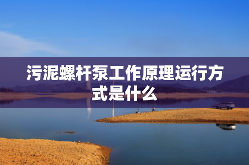 污泥螺杆泵工作原理运行方式是什么