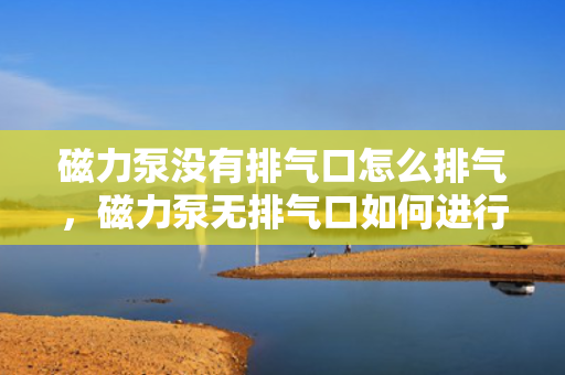 磁力泵没有排气口怎么排气，磁力泵无排气口如何进行有效排气