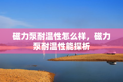 磁力泵耐温性怎么样，磁力泵耐温性能探析