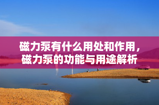 磁力泵有什么用处和作用，磁力泵的功能与用途解析