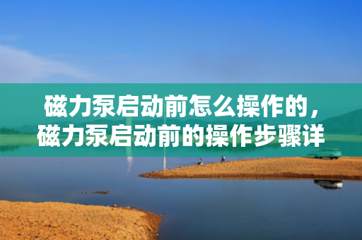 磁力泵启动前怎么操作的，磁力泵启动前的操作步骤详解