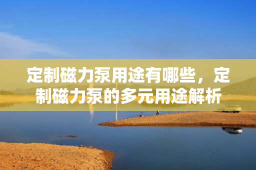 定制磁力泵用途有哪些，定制磁力泵的多元用途解析