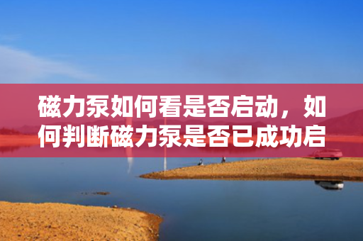 磁力泵如何看是否启动，如何判断磁力泵是否已成功启动