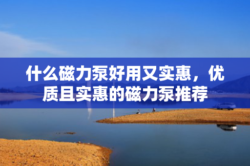 什么磁力泵好用又实惠，优质且实惠的磁力泵推荐