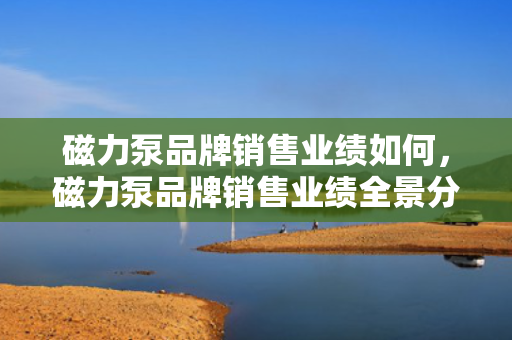 磁力泵品牌销售业绩如何，磁力泵品牌销售业绩全景分析