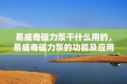 易威奇磁力泵干什么用的，易威奇磁力泵的功能及应用解析