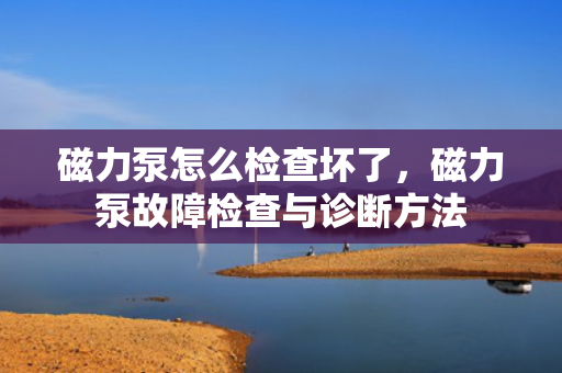 磁力泵怎么检查坏了，磁力泵故障检查与诊断方法
