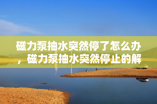磁力泵抽水突然停了怎么办，磁力泵抽水突然停止的解决方法