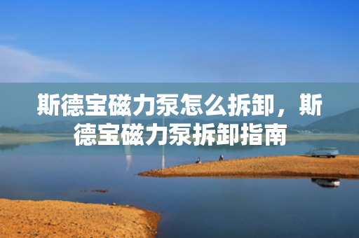 斯德宝磁力泵怎么拆卸，斯德宝磁力泵拆卸指南