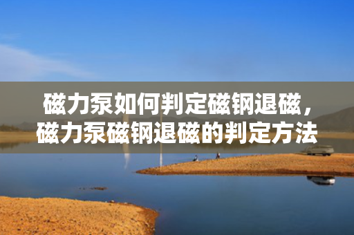 磁力泵如何判定磁钢退磁，磁力泵磁钢退磁的判定方法与技巧
