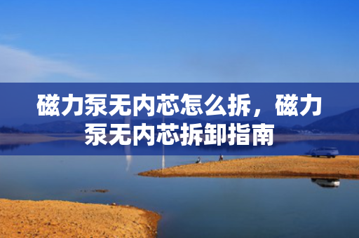 磁力泵无内芯怎么拆，磁力泵无内芯拆卸指南