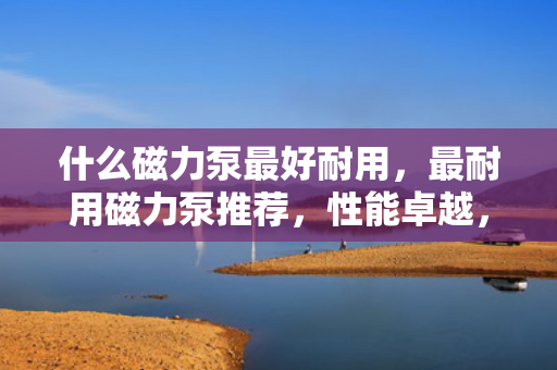什么磁力泵最好耐用，最耐用磁力泵推荐，性能卓越，经久耐用的磁力泵选择