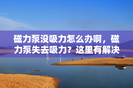 磁力泵没吸力怎么办啊，磁力泵失去吸力？这里有解决方案！