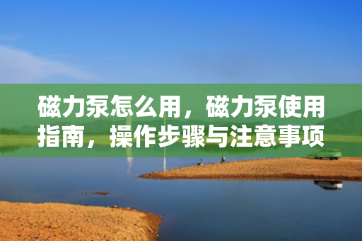 磁力泵怎么用，磁力泵使用指南，操作步骤与注意事项
