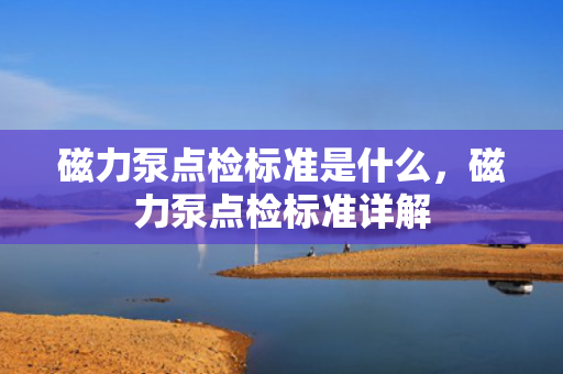 磁力泵点检标准是什么，磁力泵点检标准详解