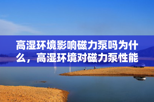 高湿环境影响磁力泵吗为什么，高湿环境对磁力泵性能的影响及原因解析