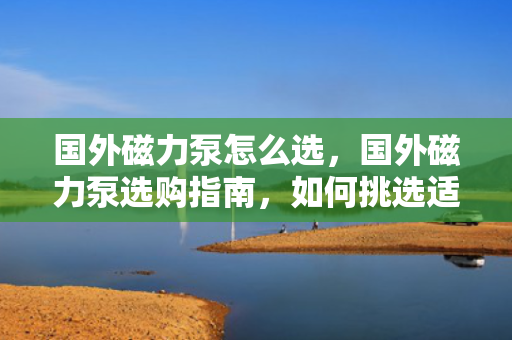 国外磁力泵怎么选，国外磁力泵选购指南，如何挑选适合的磁力泵