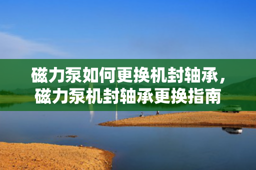 磁力泵如何更换机封轴承，磁力泵机封轴承更换指南