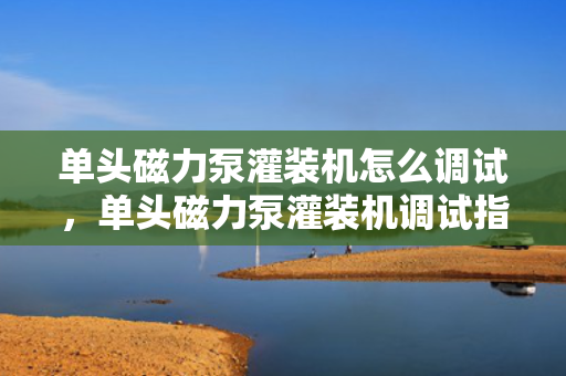 单头磁力泵灌装机怎么调试，单头磁力泵灌装机调试指南