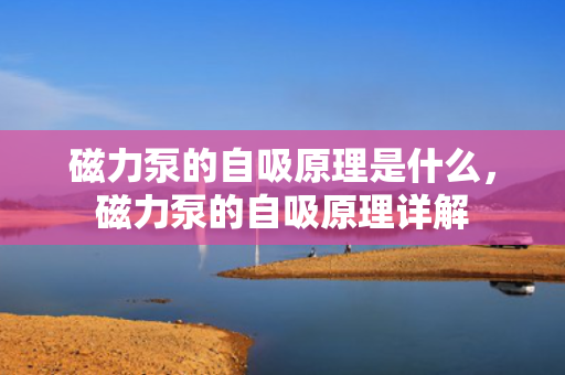 磁力泵的自吸原理是什么，磁力泵的自吸原理详解